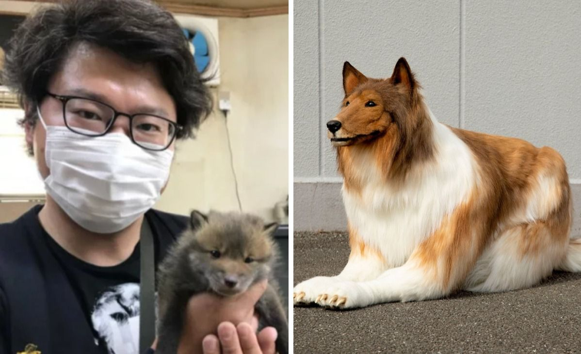 habla Zapatos El uno al otro Insólito: un japonés pagó 15 mil dólares para convertirse en perro